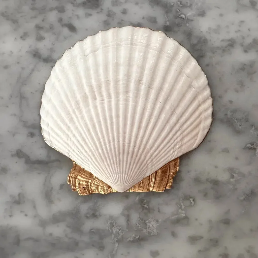 Sicilian Lemon Shell Trinket Dish Italian Ring Dish